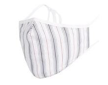 Load image into Gallery viewer, The Lux: Premium Silk and Cotton Face Masks
