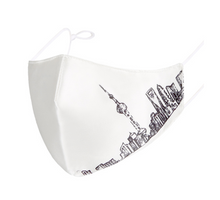 Load image into Gallery viewer, The Lux: Premium Silk and Cotton Face Masks