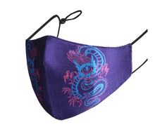 Load image into Gallery viewer, The Lux: Premium Silk and Cotton Face Masks