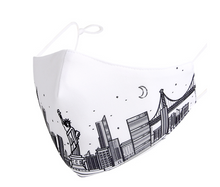 Load image into Gallery viewer, The Lux: Premium Silk and Cotton Face Masks