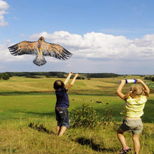 Load image into Gallery viewer, Bird of Prey Kite