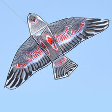 Load image into Gallery viewer, Bird of Prey Kite