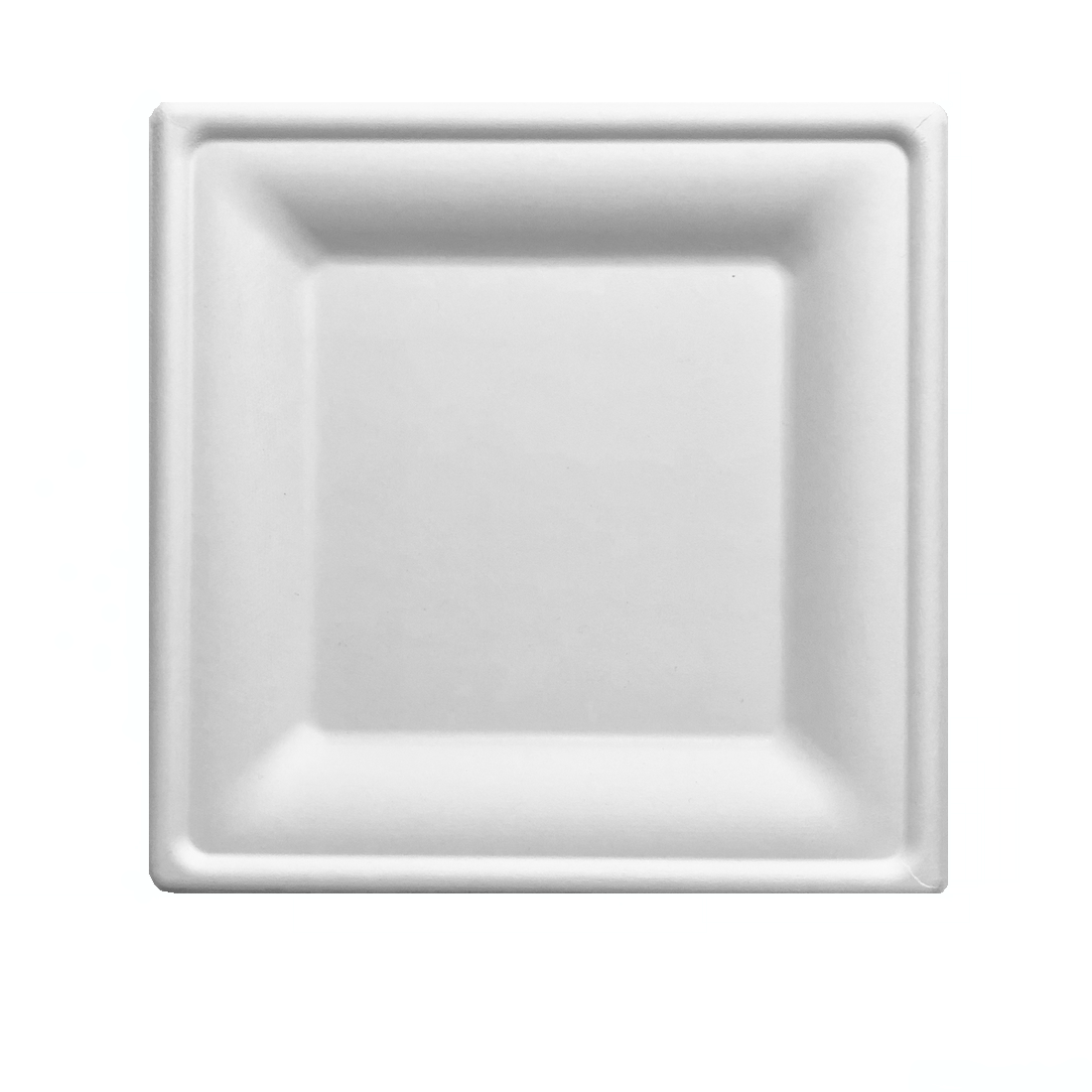 Square Biodegradable Disposable Plates [125 Pack]