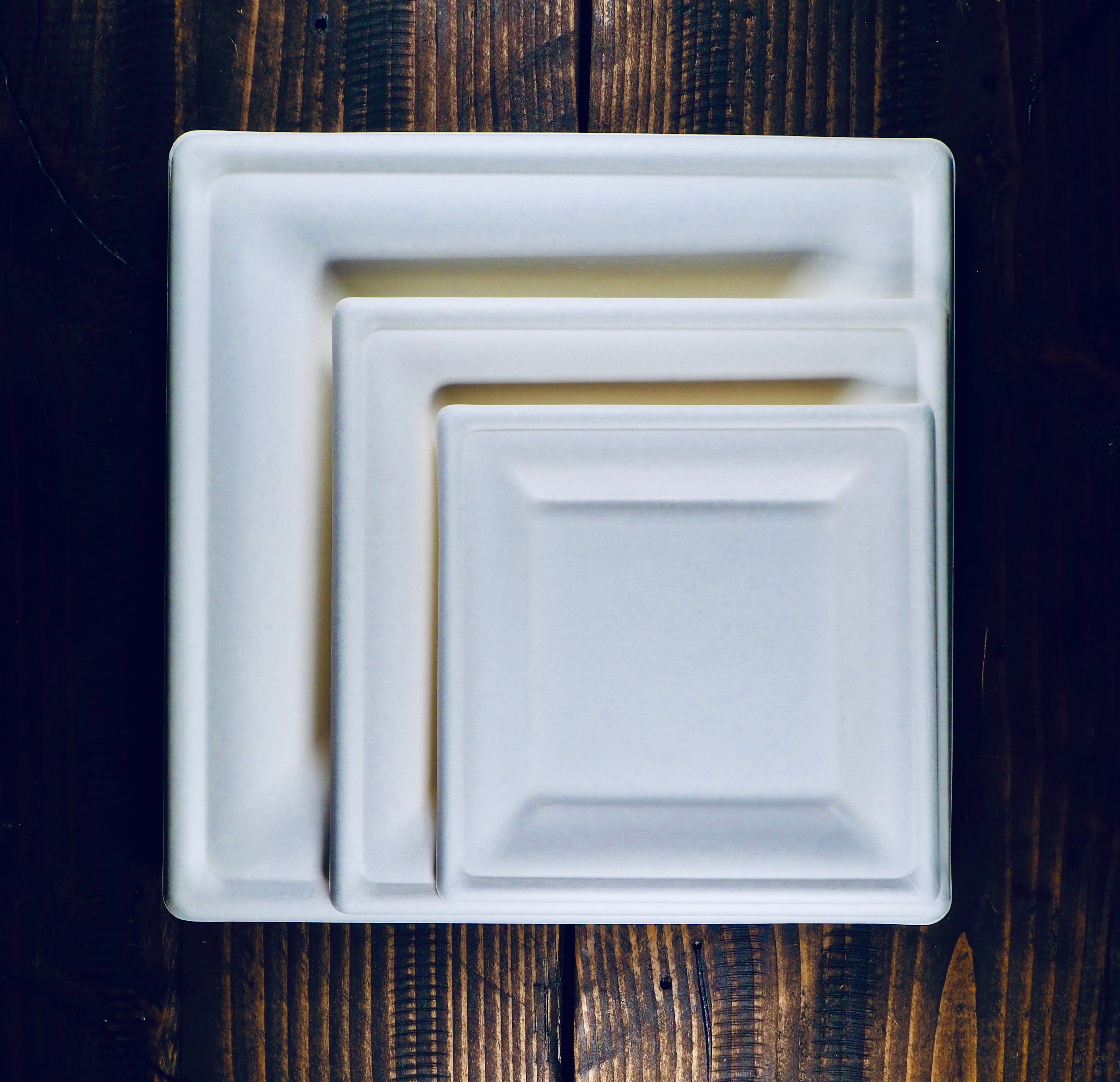 Square Biodegradable Disposable Plates [125 Pack]