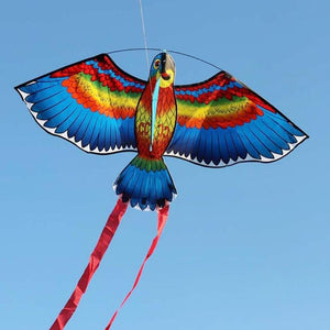Bird of Prey Kite