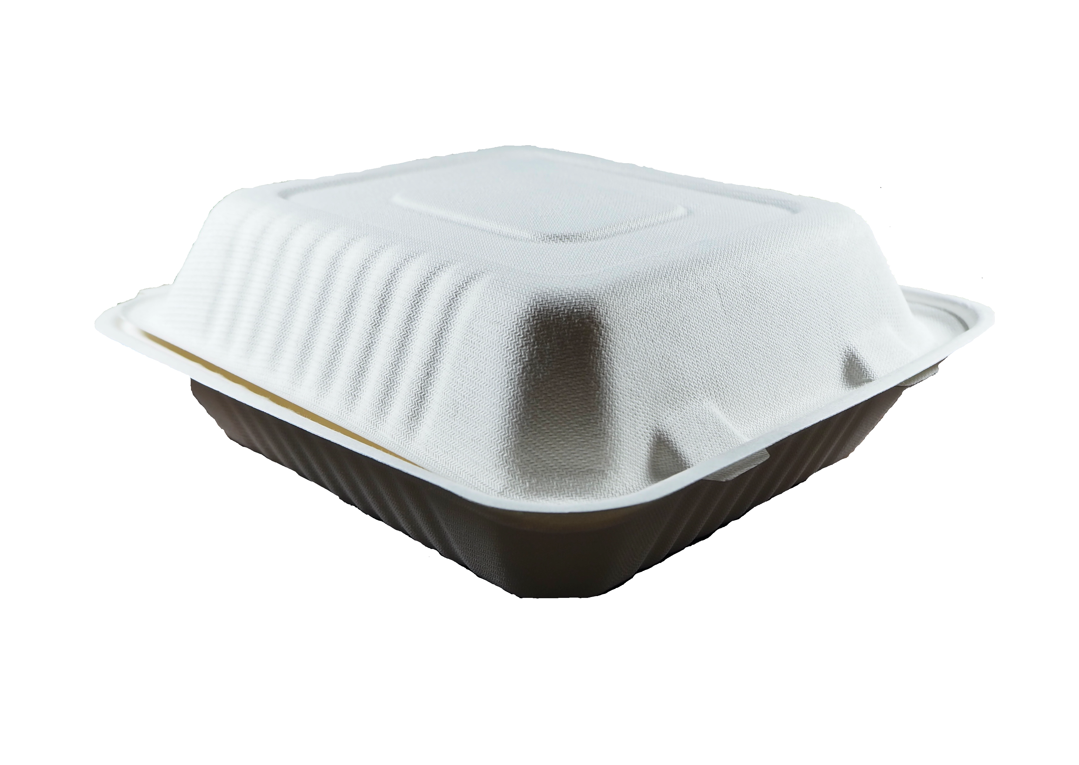 Conscious Products Square Disposable To-Go Box [100 Pack]